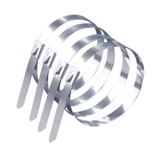 ZN-G-5692不锈钢扎带